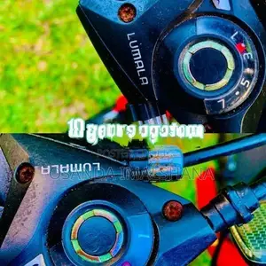 Lumala Mountain bicycle