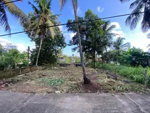 High Land for Sale Pannipitiya