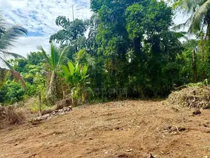 කිරිඳිවැල ඇවිද යන දුරින් වටිනා නේවාසික ඉඩම