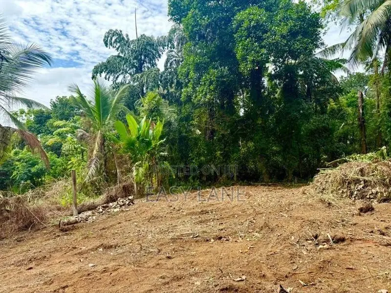 කිරිඳිවැල ඇවිද යන දුරින් වටිනා නේවාසික ඉඩම