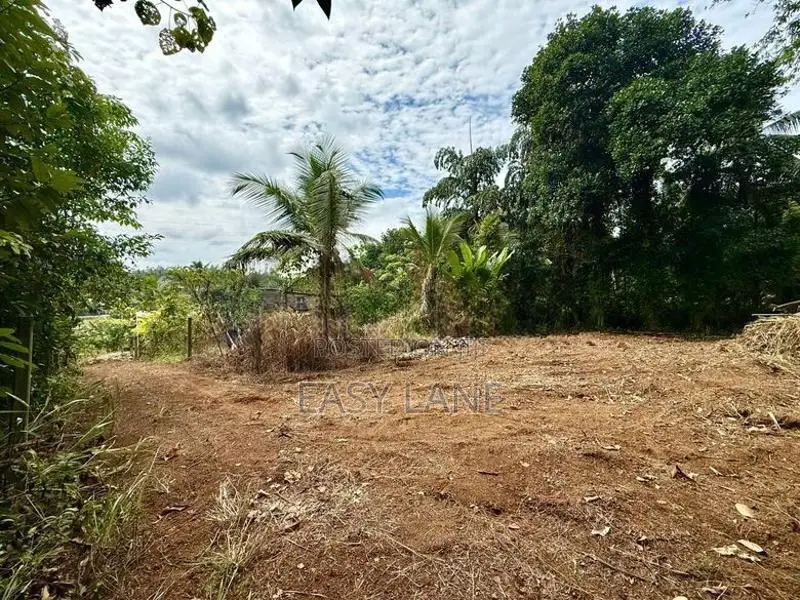 කිරිඳිවැල ඇවිද යන දුරින් වටිනා නේවාසික ඉඩම