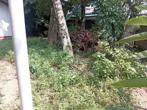 23 Perch Land with House for Sale Maharagama