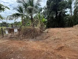 කිරිඳිවැල ඇවිද යන දුරින් වටිනා නේවාසික ඉඩම