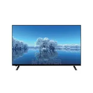 Wisdom 24" HD LED TV - WD24NM