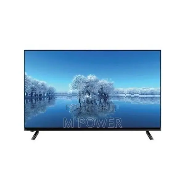 Wisdom 24" HD LED TV - WD24NM