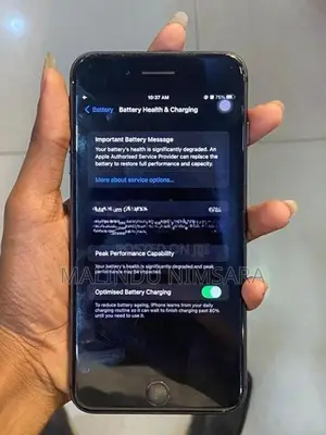 Apple iPhone 8 Plus (Used)