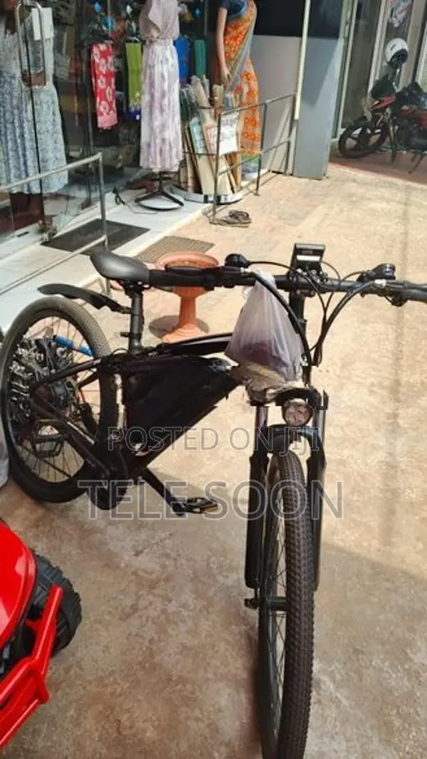 Electric Bicycle