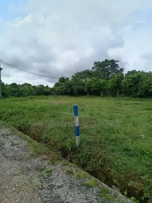 Highly Residential Land for Sale in Thalagala