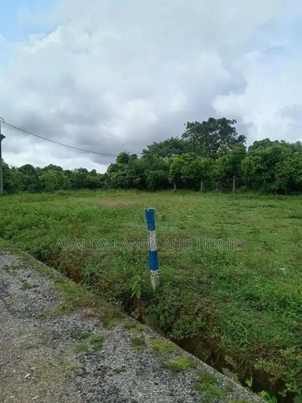 Highly Residential Land for Sale in Thalagala