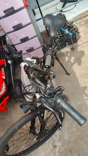 Electric Bicycle