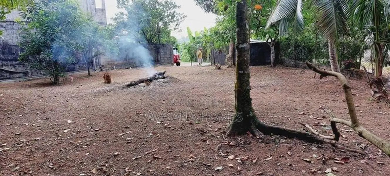 High Land for Sale Pannipitiya