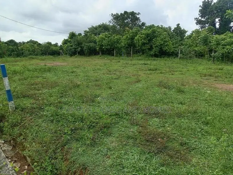 Super Precious Land for Sale in Thalagala Berukatiya