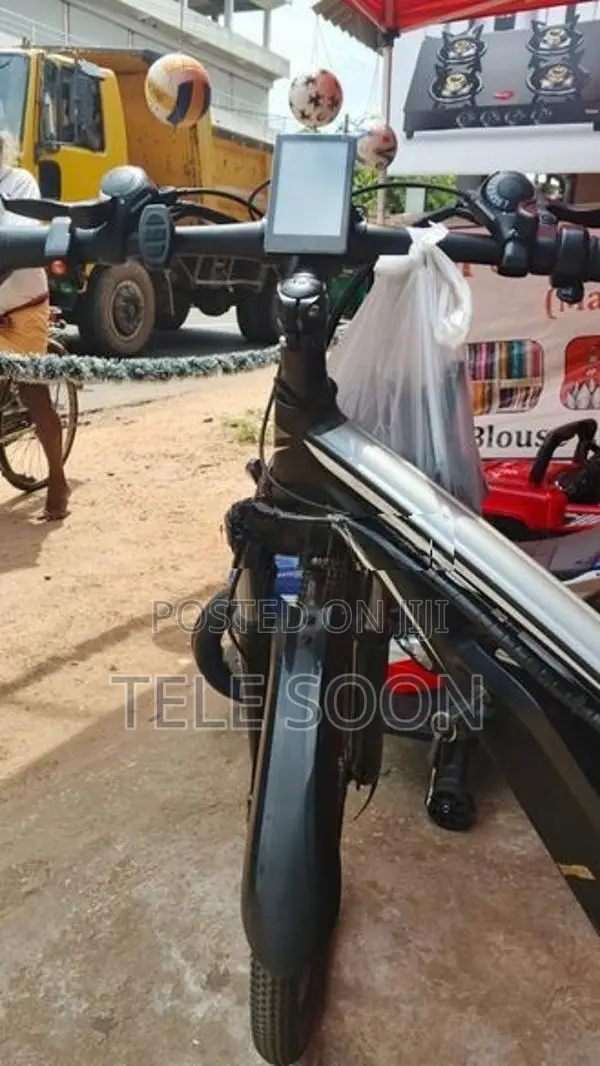 Electric Bicycle