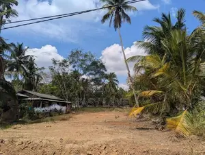 Land for Sale in Giriulla