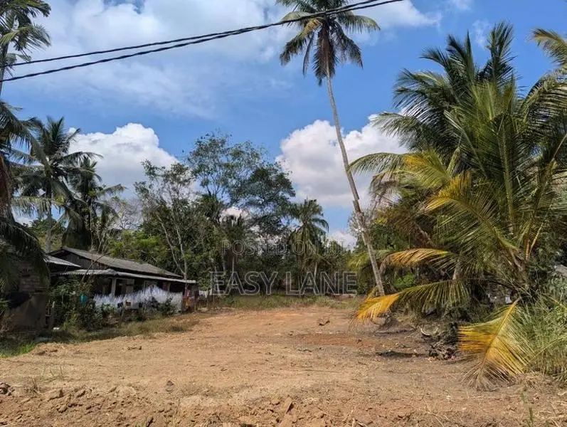 Land for Sale in Giriulla