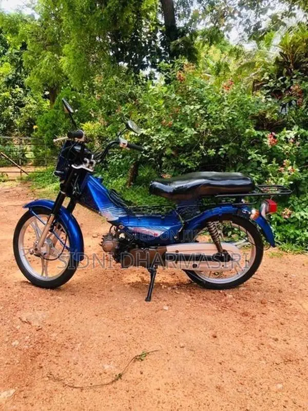 Singer Safari 2020