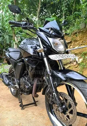 Yamaha FZ S 2015