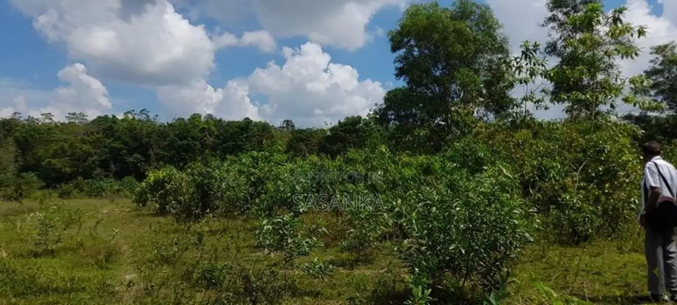 Horana Millaniya 3 Acres Land for Sale