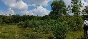 Horana Millaniya 3 Acres Land for Sale