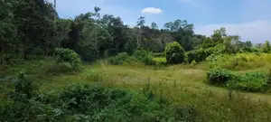Horana Millaniya 3 Acres Land for Sale