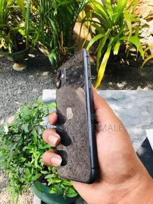 Apple iPhone 11 (Used)