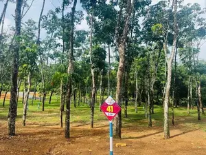 Land for Sale in Ballapitiya