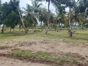 අනුරාධපුර නාච්චාදූව වැව පාරෙන් නවතම සින්නක්කර බිම්කොටස්