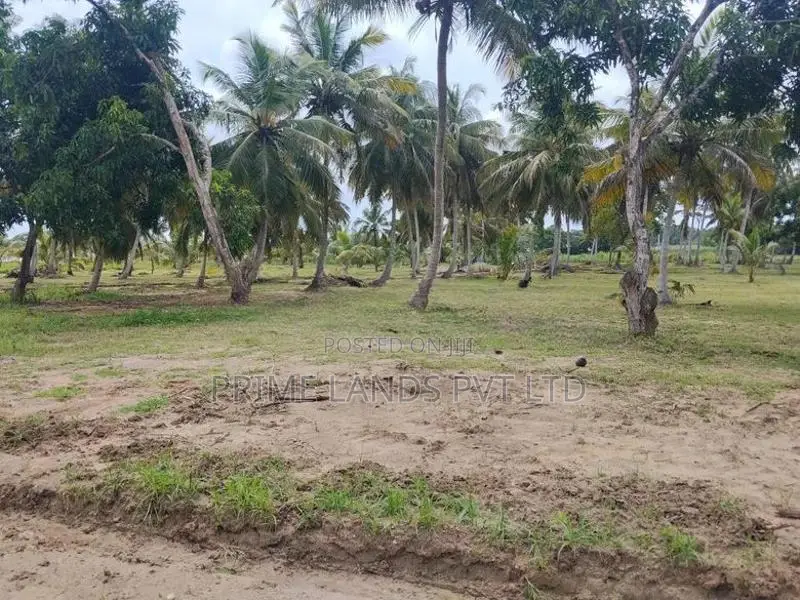 අනුරාධපුර නාච්චාදූව වැව පාරෙන් නවතම සින්නක්කර බිම්කොටස්