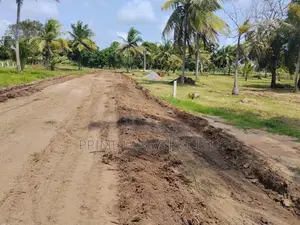 අනුරාධපුර නාච්චාදූව වැව පාරෙන් නවතම සින්නක්කර බිම්කොටස්