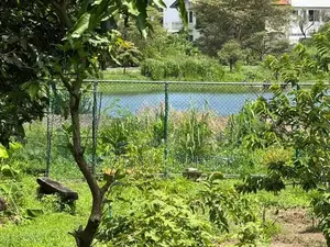 Lake Facing Luxury Land for Sale in Nugegoda