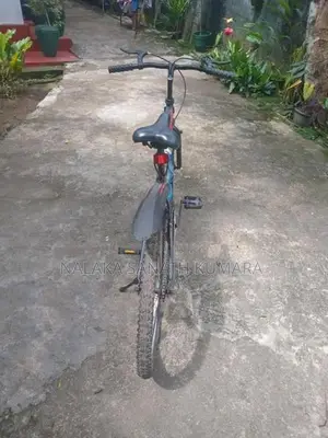 Tomahawk Bicycle