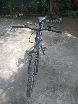 Tomahawk Bicycle