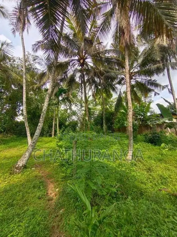 Residential Land for Sale Kadawatha City