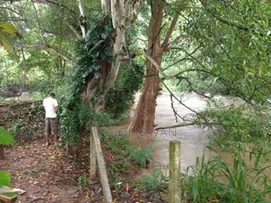 Udawalawa Tourism Zone Land with River