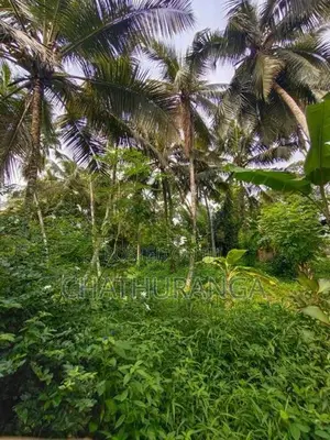 Residential Land for Sale Kadawatha City