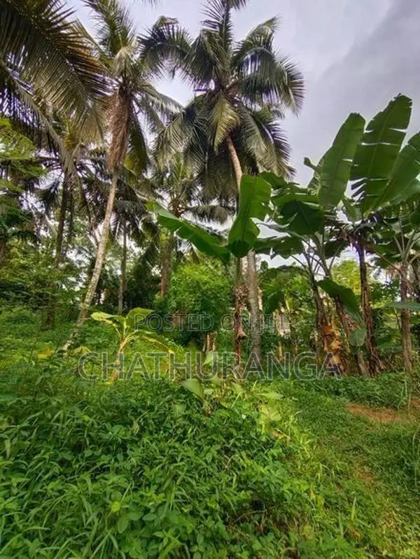 Residential Land for Sale Kadawatha City
