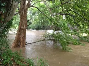 Udawalawa Tourism Zone Land with River