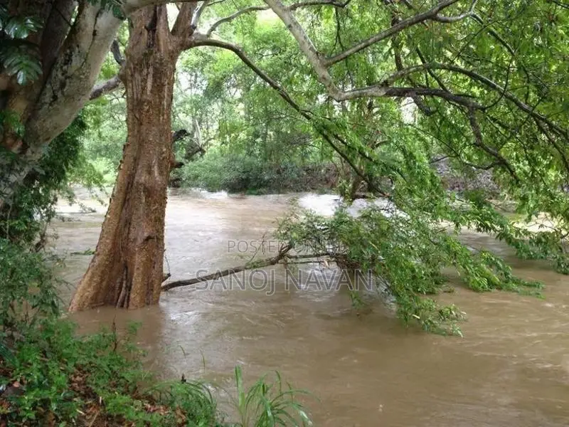 Udawalawa Tourism Zone Land with River