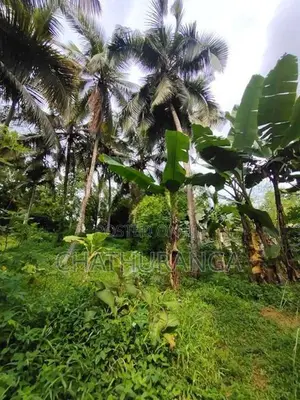 Residential Land for Sale Kadawatha City