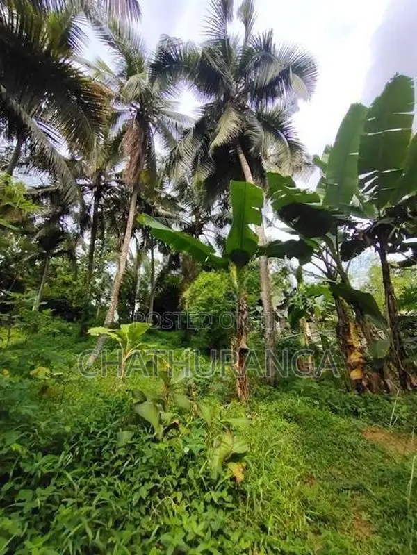 Residential Land for Sale Kadawatha City