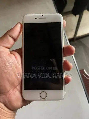 Apple iPhone 7 (Used)