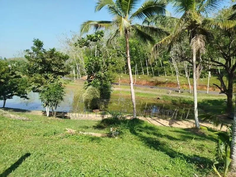 හෝමාගම හොරගල බස් පාරෙන් බිම් කොටස් විකිණීමට