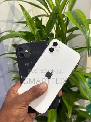 Apple iPhone 11 (Used)
