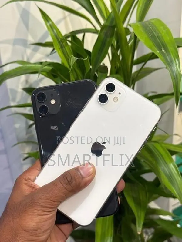 Apple iPhone 11 (Used)