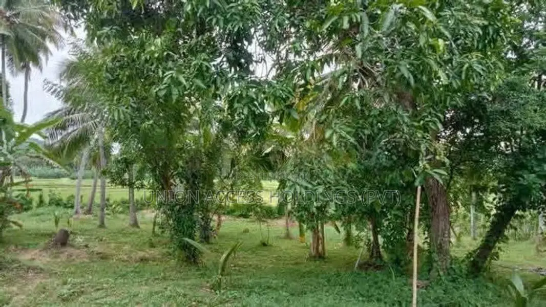 කුරුණෑගල ඉබිබාගමුව නගරයට ආසන්න අලුතින් නිමකල නිවස සමඟ පර්චස් 73ක්