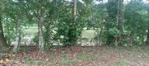Kadawatha house for sale