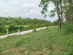 හෝමාගම තලගල හන්දියට ආසන්නව බිම් කොටස් විකිණීමට