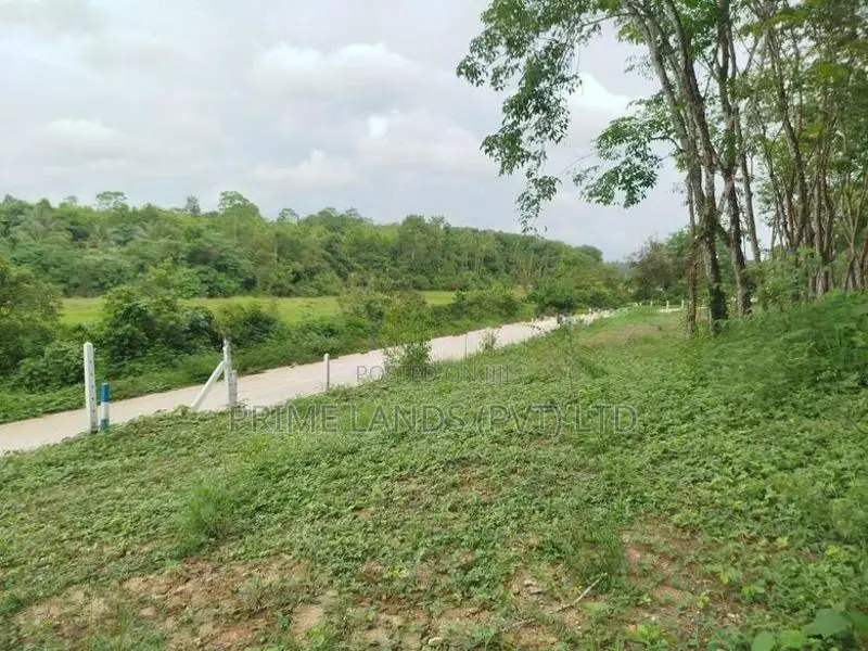 හෝමාගම තලගල හන්දියට ආසන්නව බිම් කොටස් විකිණීමට