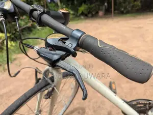 Mountain Bicycle