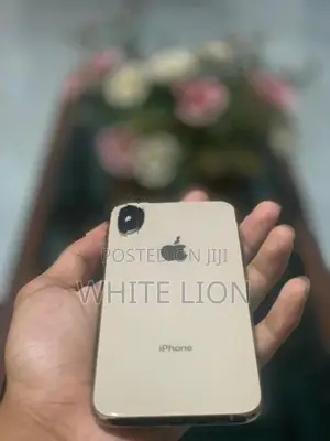 Apple iPhone XS (Used)